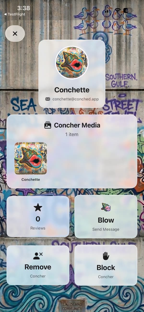 A Concher profile with Blow, Send Message, Remove, and Block options