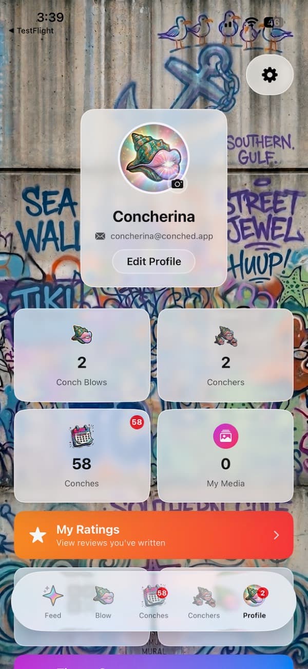 The Profile tab where the Theme Store and settings live